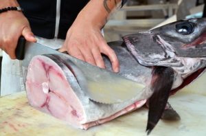 Fish kitchen design